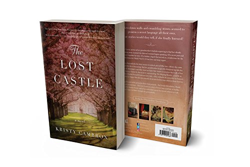 The Lost Castle: A Split-Time Romance: 1 (A Lost Castle Novel)