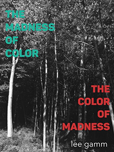 The Madness of Color, The Color of Madness (English Edition)