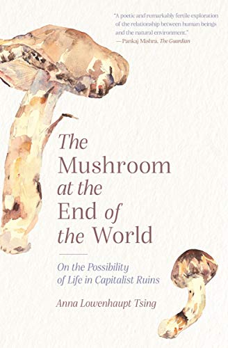 The Mushroom at the End of the World: On the Possibility of Life in Capitalist Ruins (English Edition)