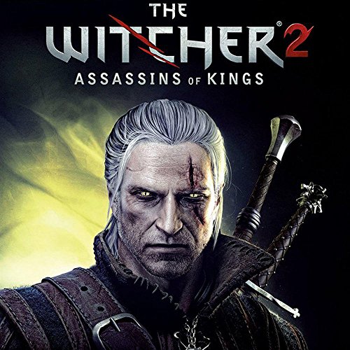 The Witcher 2 [Importación Francesa]