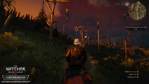 The Witcher 3: Complete Edition for Nintendo Switch [USA]