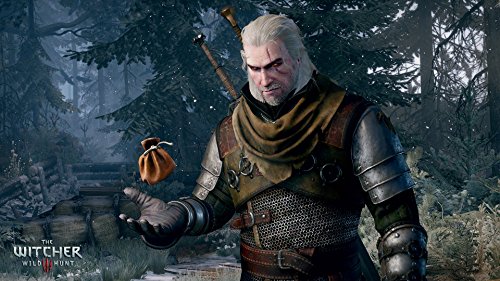 The Witcher 3 Wild Hunt PC Game