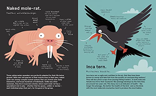 The World's Most Pointless Animals: Or are they?