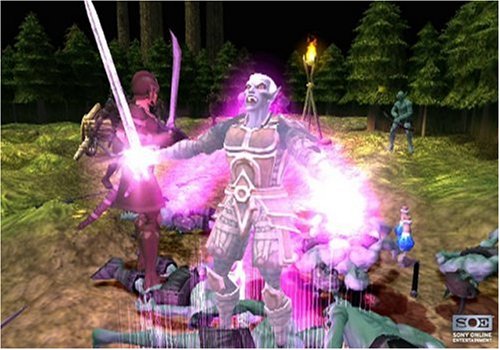 Third Party - Champions Of Norrath Occasion [ PS2 ] - 3307210150226