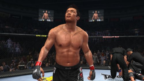 THQ UFC Undisputed 2010 - Juego (PlayStation 3, Deportes, M (Maduro))