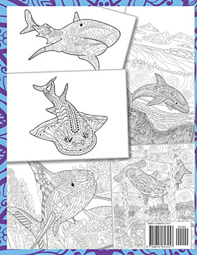 Tiburones martillo - Libro de colorear 🦈
