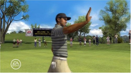 Tiger Woods PGA Tour 08(輸入版)