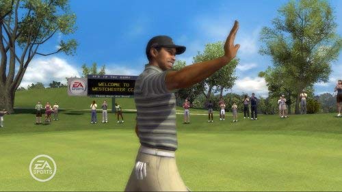 Tiger Woods PGA Tour 08 (PS3) [Importación inglesa]