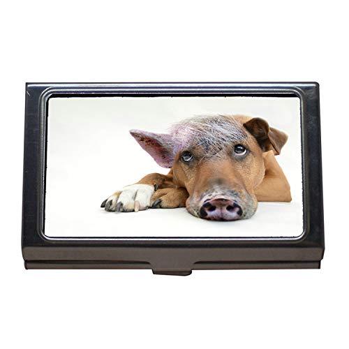 Titular de la tarjeta de visita Monedero Identificación de la tarjeta de crédito Caso, Perro de cerdo interno Perro Cerdo Componer, Caja de la tarjeta de visita de acero inoxidable