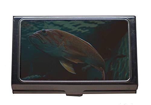 Titular de la tarjeta del nombre de la cartera Monedero de la tarjeta de crédito Identificación/Titular, natación de peces animales, Titular de la tarjeta de acero inoxidable