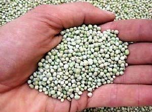 TODOCULTIVO abono Plantas Complejo Triple 15-15-15 NPK. 5 Kg. Abono versatil Que Lleva un Gran Equilibrio Entre nitrógeno, fósforo y potasio. Válido para Toda Clase de Cultivos.