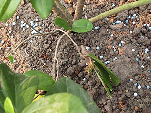 TODOCULTIVO abono Plantas Complejo Triple 15-15-15 NPK. 5 Kg. Abono versatil Que Lleva un Gran Equilibrio Entre nitrógeno, fósforo y potasio. Válido para Toda Clase de Cultivos.