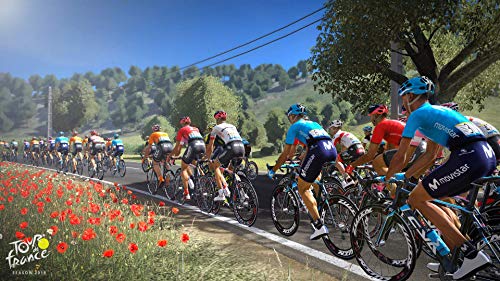Tour De France: Season 2019 - PlayStation 4 - PlayStation 4 [Importación inglesa]