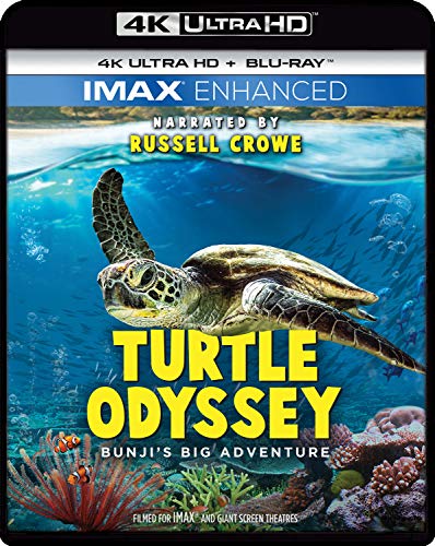 Turtle Odyssey [Edizione: Stati Uniti] [Italia] [Blu-ray]