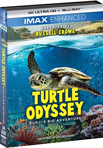 Turtle Odyssey [Edizione: Stati Uniti] [Italia] [Blu-ray]