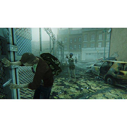 Ubisoft Zombi, PS4 Básico PlayStation 4 vídeo - Juego (PS4, PlayStation 4, Supervivencia / Horror, M (Maduro))