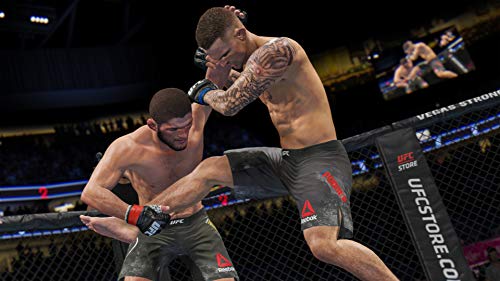 UFC 4 - PlayStation 4 [Importación francesa]