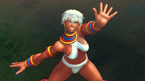 Ultra Street Fighter IV [Importación Alemana]
