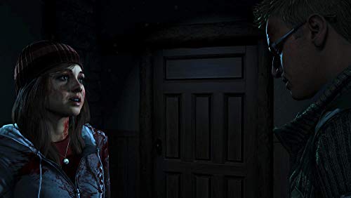 Until Dawn PS4 HITS [Importación francesa]