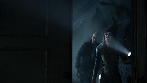 Until Dawn PS4 HITS [Importación francesa]