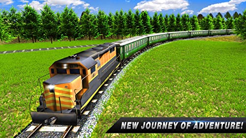 USA Train Driving Simulator Mega City Metro Driving Simulator 3D: Real Tourist Transporter Subway Train Driver Sim Adventure