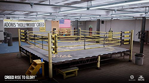 VR Creed: Rise to Glory PS-4 [Importación alemana]