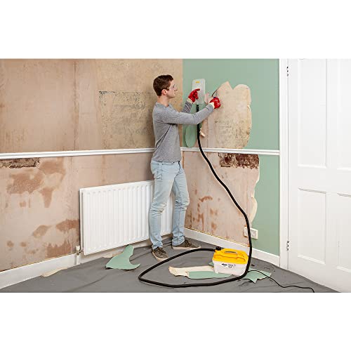 WAGNER 2410385 SteamForce removedor de papel pintado a vapor, 2000 W, 230 V