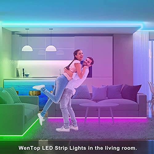 WenTop Tiras LED 5M, Luces LED Habitación 5 Metros, Tira LED RGB Color con Control Remoto, Para Decoración de TV, Techo, Dormitorio, Bares