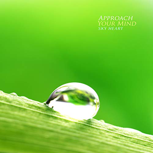 When The Dew Kisses The Petals