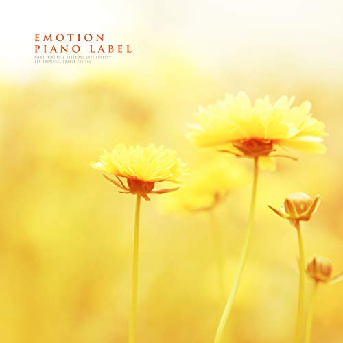 When The Dew Kisses The Petals