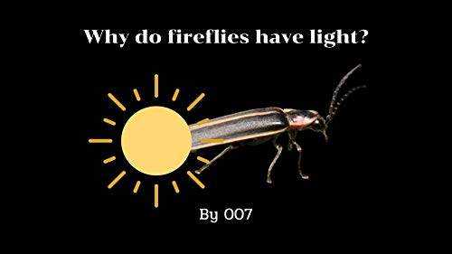 Why do fireflies have light? (English Edition)