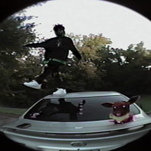 wii sports resort [Explicit]