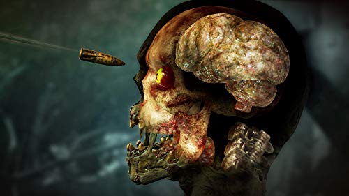 Zombie Army 4: Dead War - Xbox One [Importación italiana]