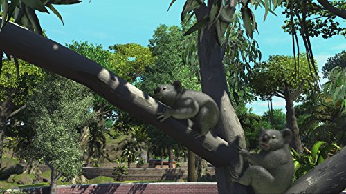Zoo Tycoon: Ultimate Animal Collection - Xbox One [Importación inglesa]