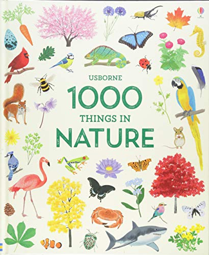 1000 Things In Nature (1000 Pictures)
