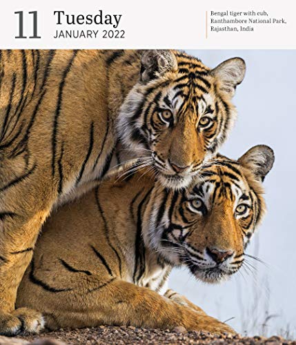 2022 Audubon Nature Gallery: A Wilderness Escape Every Single Day