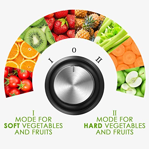 600W Licuadora Para Verduras y Frutas, Acero Inoxidable, 2 Velocidades, Abertura de Llenado de 65 mm de Ancho, Función Antigoteo, Protección Contra Sobrecalentamiento