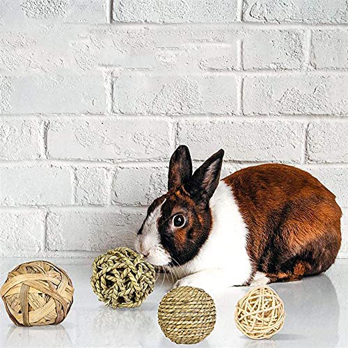 9 Piezas Juguetes Masticar Hámster, Juguete Molar Conejillo Indias, Juguete Molar para el Cuidado Los Hámster, Juguetes para Masticar Roedores, para Chinchilla, Guinea Pig, Conejos, Hámster