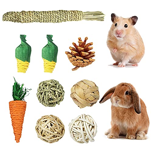 9 Piezas Juguetes Masticar Hámster, Juguete Molar Conejillo Indias, Juguete Molar para el Cuidado Los Hámster, Juguetes para Masticar Roedores, para Chinchilla, Guinea Pig, Conejos, Hámster