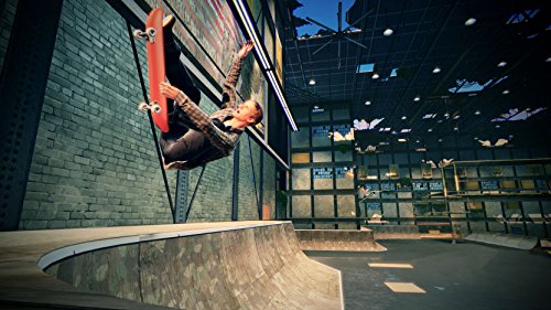 Activision Tony Hawk's Pro Skater 5 - Juego (PlayStation 4, Deportes, ENG)