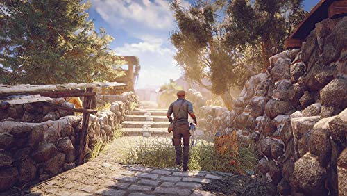 Adam's Venture Origins