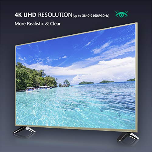 Adaptador USB C a HDMI 4K, Adaptador BENFEI Thunderbolt 3 a HDMI Compatible con MacBook Pro 2019/2018/2017, Samsung Galaxy S10 / S9 y más [Carcasa de Aluminio y Cable de Nailon]