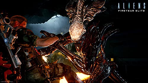 Aliens: Equipo DE Fuego Elite PS4 VF