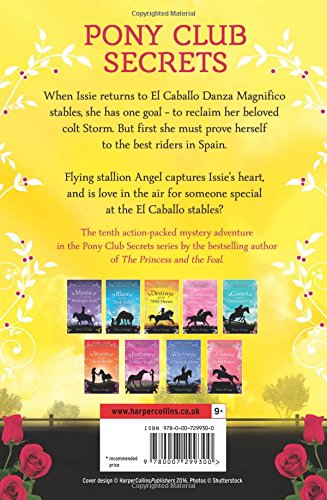 Angel And The Flying Stallions: Book 10 (Pony Club Secrets)