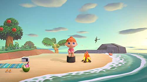 Animal Crossing : New Horizons - Nintendo Switch [Importación francesa]