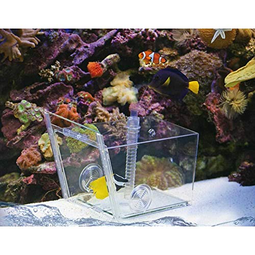 Aqua Medic Fish trap Fischfalle- Gorro de Pescado