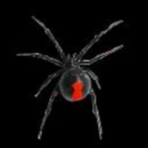 Arachnophobia Live Wallpaper