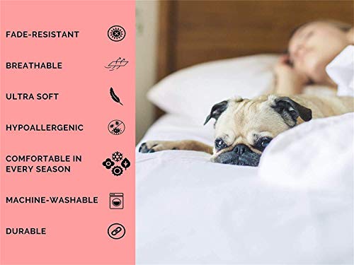 ARK:Survival Evolved - Juego de ropa de cama infantil (1 funda de edredón y 2 fundas de almohada, resistente al desvanecimiento, 3 piezas, artículo para fans ARK4, 155 x 200 cm + 50 x 75 cm x 2)