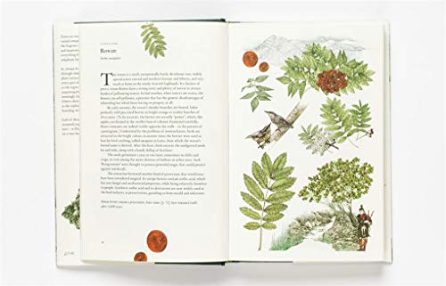 Around the World in 80 Trees [Idioma Inglés]: (The Perfect Gift for Tree Lovers)
