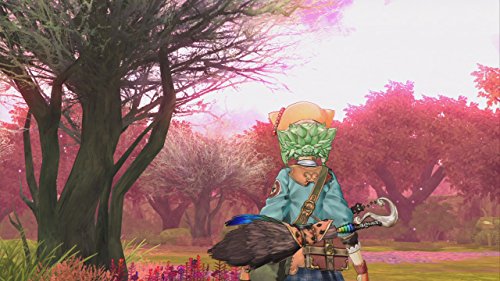 Atelier Shallie: Alchemists of the Dusk Sea [Importación Alemana]